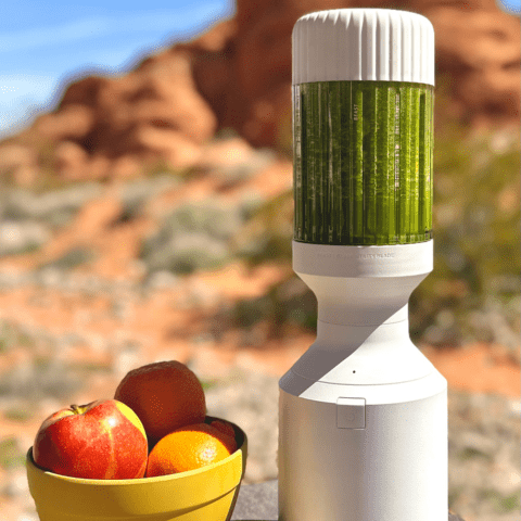 Green Machine Smoothie